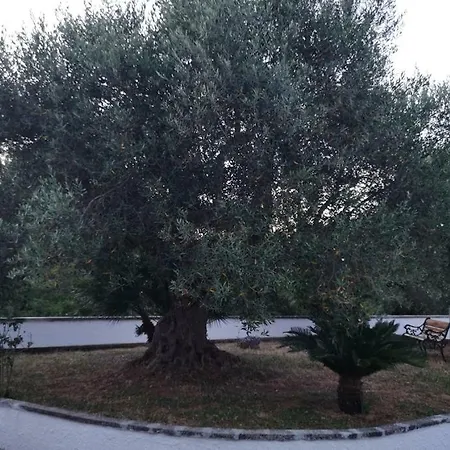 Trulli Cupina Vila