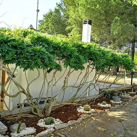 Vila Trulli Cupina Martina Franca