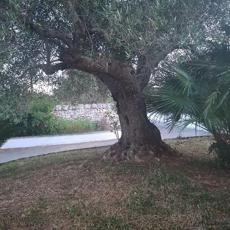 Trulli Cupina Vila Martina Franca