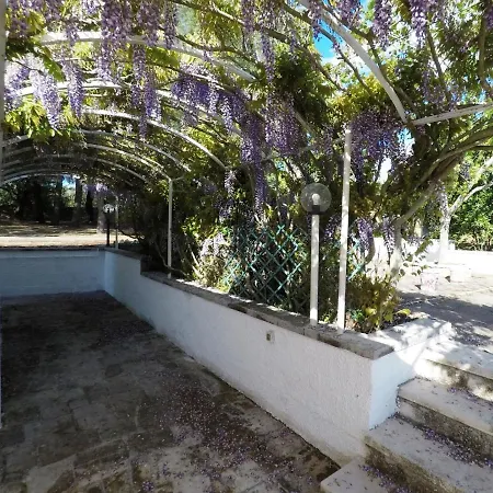 Vila Trulli Cupina Martina Franca